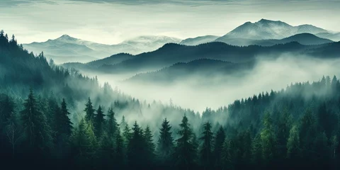 Foto auf Acrylglas Morgen mit Nebel fogy forests and fog with trees and mountains