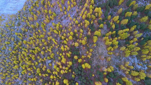 The largest glacier aletschgletscher Ice River in the Swiss Alps