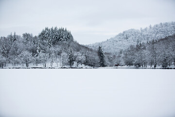 Trees in the snow. Winter landscape. Europe. Frozen lake.
