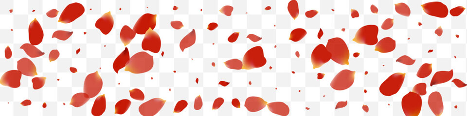Red Cherry Tender Vector Transparent Panoramic