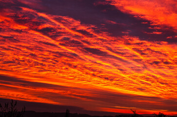 Sunrise in Germany. Red Sky.