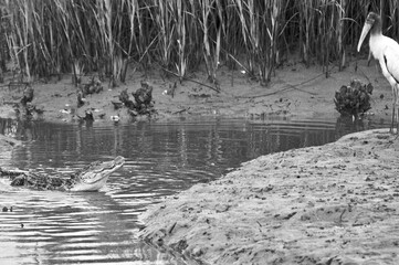 I'm not afraid of you