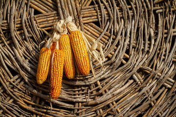 corn in basket