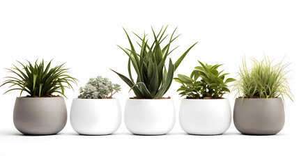A set of four planters with different plants in them and a white background with a white background and a white background with a white background