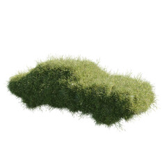 grass car isolated on white, grass on vehicle