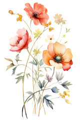 Naklejka premium watercolor wildflower bouquet transparent background