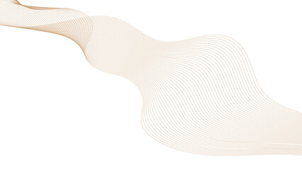 Technology abstract lines gold gradient color on white background. transparent background in concept of luxury, technology, science, music, modern.	