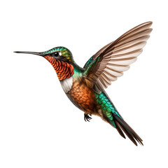 Fototapeta premium Beautiful flying hummingbird on transparent background PNG