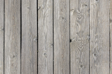 A grayish unvarnished wooden plank floor with grains of sand on the surface. Vector wood texture...