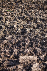 Soil for cultivation. Ploughed field.