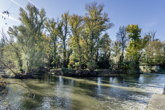 autumn landscape of Jarama on the outskirts of Madrid on a small river dam