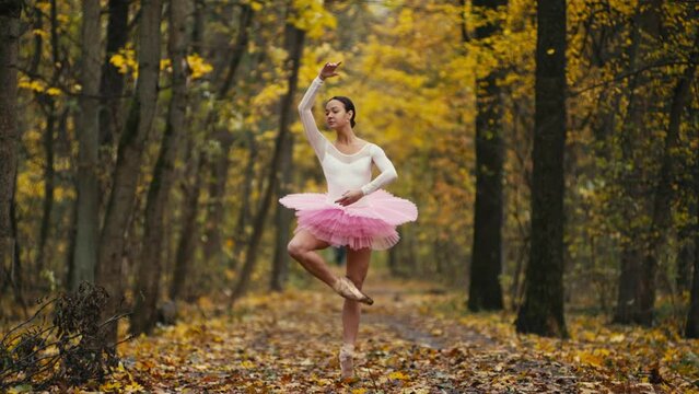 One little ballerina dances in a cold autumn park. In slow motion, she moves very gently and sensually. High quality 4k footage