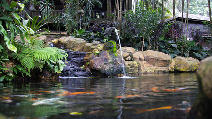KL Bird Park, Kuala Lumpur. Capturing the serenity of cascading waterfalls, the mesmerizing world of diverse fish and fowl species, and lush greenery enveloping this avian paradise.