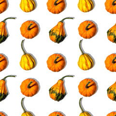 seamless pattern different pumpkins on a white background