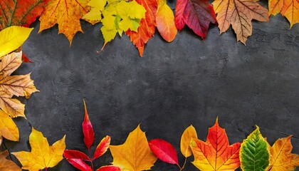 autumn n frame of colorful leaves on a black concrete texture n background panorama banner long