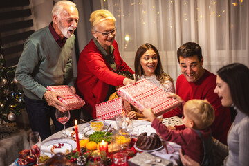 Grandparents brought presents for their family on Christmas.