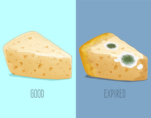 Fresh cheese. Expired cheese, moldy cheese. How to identify expired food. Comparison of fresh and expired cheese. Vector illustration. 