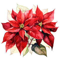 watercolor of a bunch of red poinsettias. AI generated image