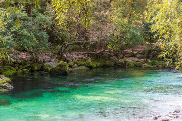 River at Bohinjsko lake in Slovenia