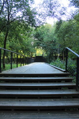 A long pedestrian path in the city park. Moscow. Russia.