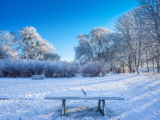 Zimowy krajobraz w parku w Olsztynie. - obrazy, fototapety, plakaty