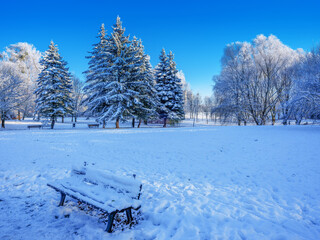 Zimowy krajobraz w parku w Olsztynie. - obrazy, fototapety, plakaty