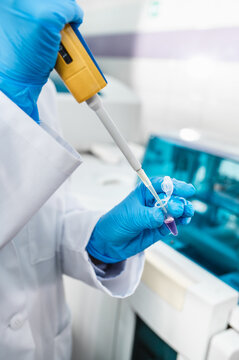 A scientist drops a reagent into a test tube with a purple liquid. Close-up of hands in disposable medical gloves of a doctor doing an analysis in the laboratory