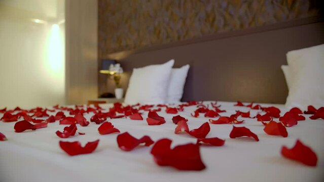 Romantic bed setting with red rose petals close up hotel 