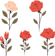 set of rose illustration floral flower drawing vector graphic element beautiful decoration design