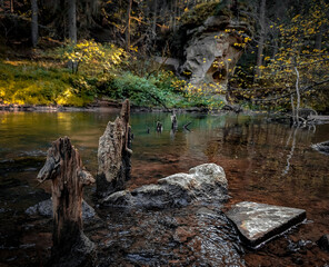 autumn in the park lake