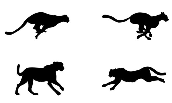 cheetah or large cat silhouettes and vector set black and white