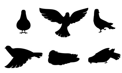 pigeon silhouettes and vector set black and white