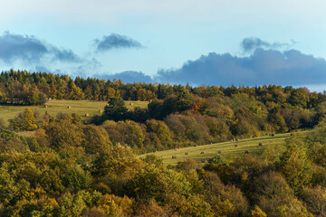 autumn landscape in the mountains