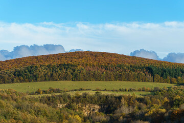 Naklejka premium autumn landscape with forest