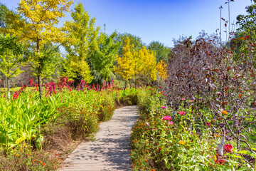 Naklejka premium Boardwalk surrounded by autumn colors leading to the water cave in Benxi, China