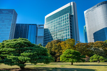 Fototapeta premium Hama Rikyu Garden, Tokyo, Japan