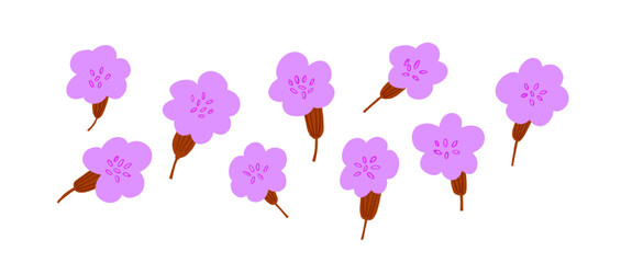 Vector set of spring pink flowers isolated on white. Vector illustration