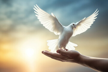 A white pigeon flies in the sky and human hand. Dove of peace. AI generative - obrazy, fototapety, plakaty