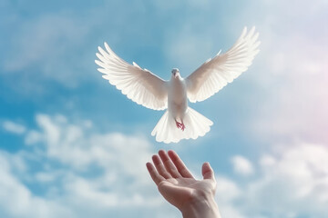 A white pigeon flies in the sky and human hand. Dove of peace. AI generative - obrazy, fototapety, plakaty