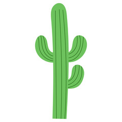 cactus hand drawn