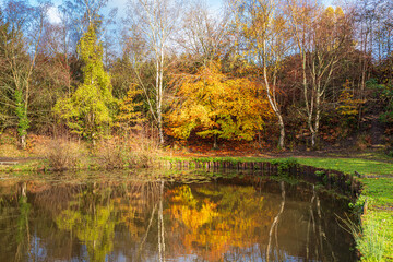 Autumn colours in the Royal Forest of Dean - Nature in autumn - Lightmoor Pool near Speech House, Gloucestershire, England UK