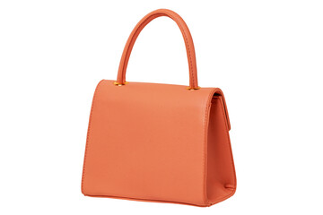 Stylish women's handbag. A fashionable female pink luxury handbag isolated on white. Fashionable womans accessories. Back view. Advertising.