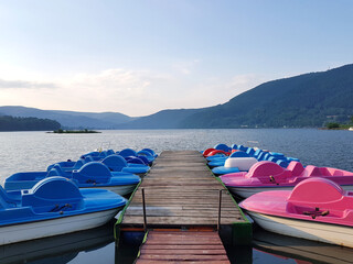 Rows of blue and pink pedal rental boats on a beautiful lake in summer scenery