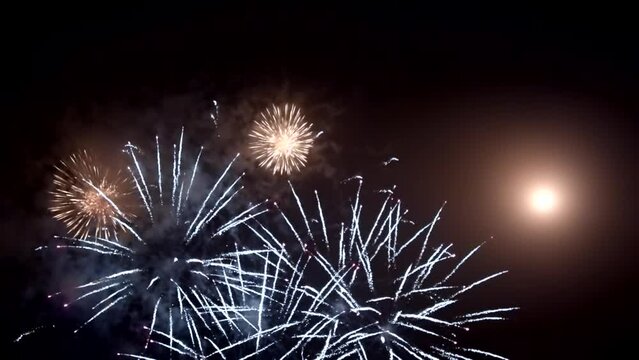 Best beautiful color fireworks in night sky. Loop, sparks, outdoor, show, event, party, festive, holiday, effect, bright, light, flash, shiny, fun, dark, glow, motion, view, display, hd. ProRes 422 HQ