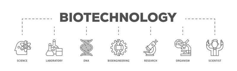 Biotechnology infographic icon flow process which consists of scientist, bioengineering, organism, research, dna, laboratory, science icon live stroke and easy to edit .