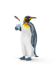 un manchot empereur avec une écharpe qui tien un verre de poisson   silure   qui s'échappe 