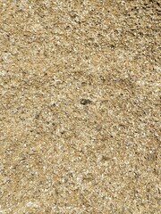 Primer plano de roca granulada de color ocre y beis