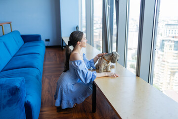 Long-haired secretary sits near panoramic windows looking at shih tzu in company lounge. Young...