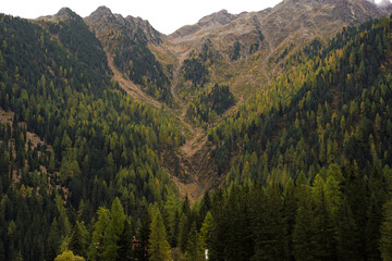 Obraz premium Panorama of Dolomite mountains in Italy with yellow and green fir-trees around. Cloudy weather. Autumn season. Calm atmosphere. 