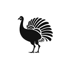 Turkey Head Icon, Poultry Silhouette, Poultry Farm Logo, Turkey Symbol on White Background